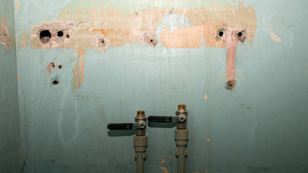 Best Flood damage cleanup  in Archer City, TX