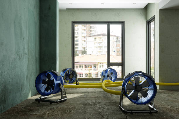 Best Water damage contractors near me  in Archer City, TX